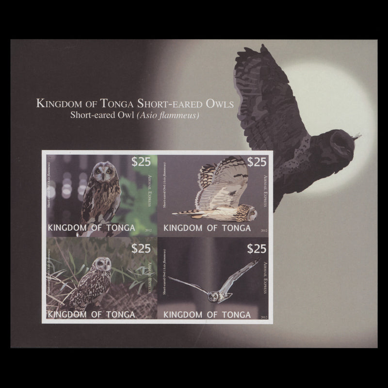 Tonga 2012 Short-Eared Owls imperf sheetletTonga 2012 Short-Eared Owls imperf proof miniature sheet