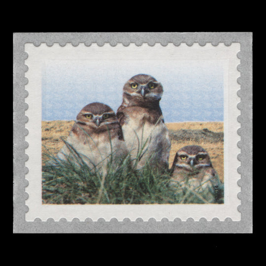 Canada 2014 (Variety) $1 Burrowing Owl missing yellow-orange