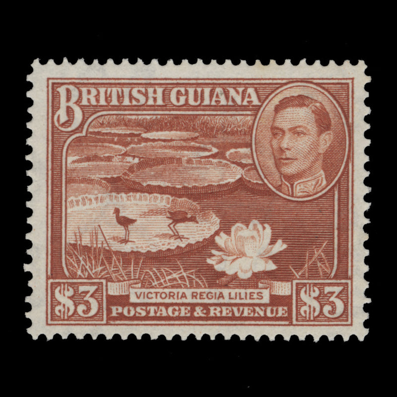 British Guiana 1952 (MNH) $3 Victoria Regia Lilies, perf 14 x 13