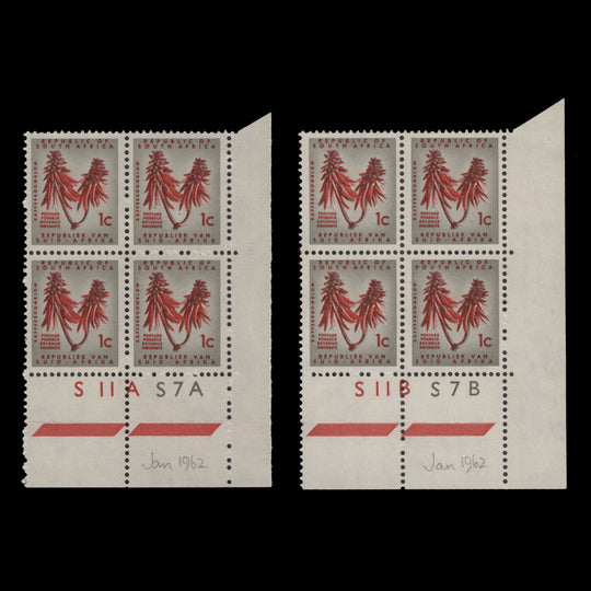 South Africa 1962 (MNH) 1c Kafferboom Flower cylinder blocks, type II