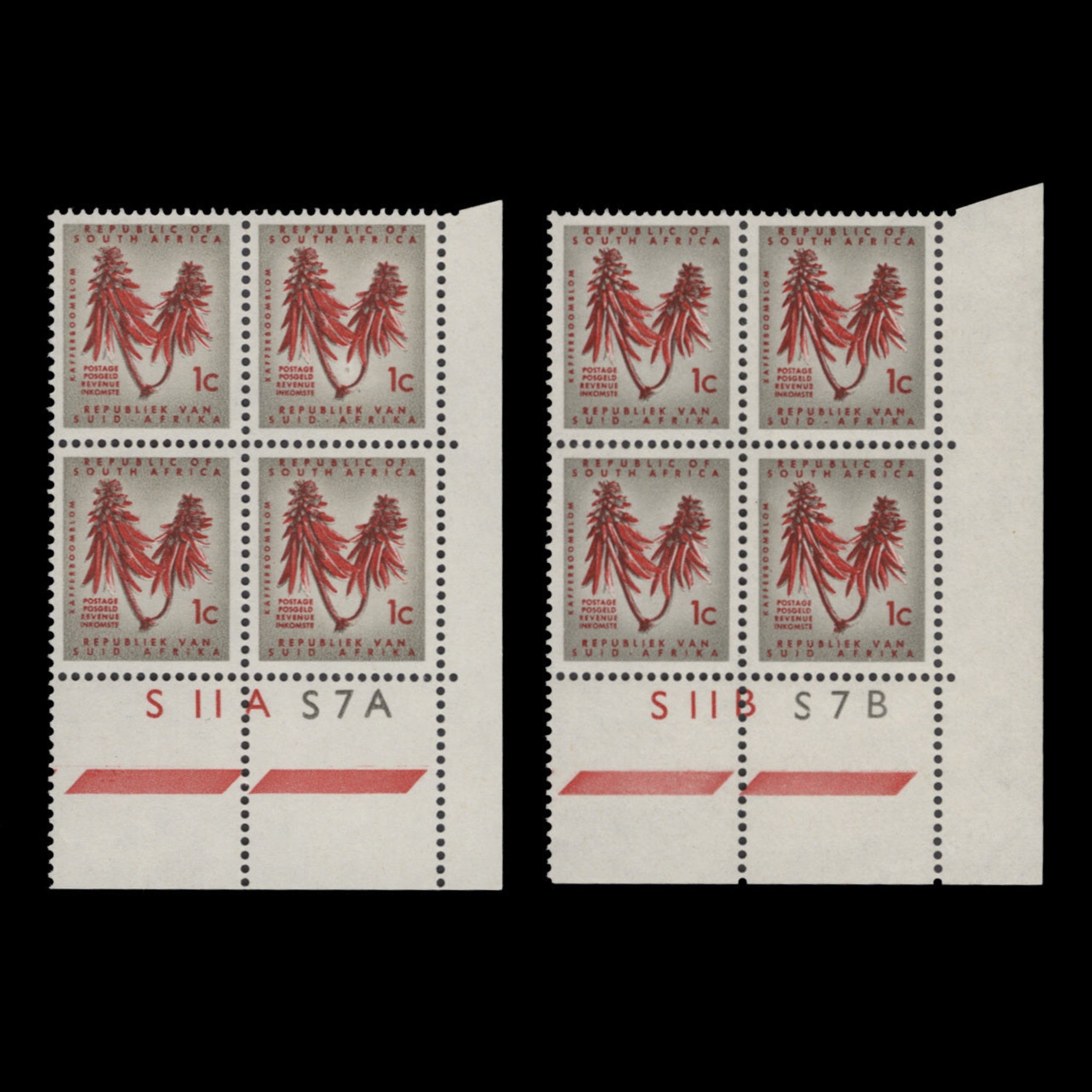 South Africa 1962 (MNH) 1c Kafferboom Flower cylinder blocks, type II ...