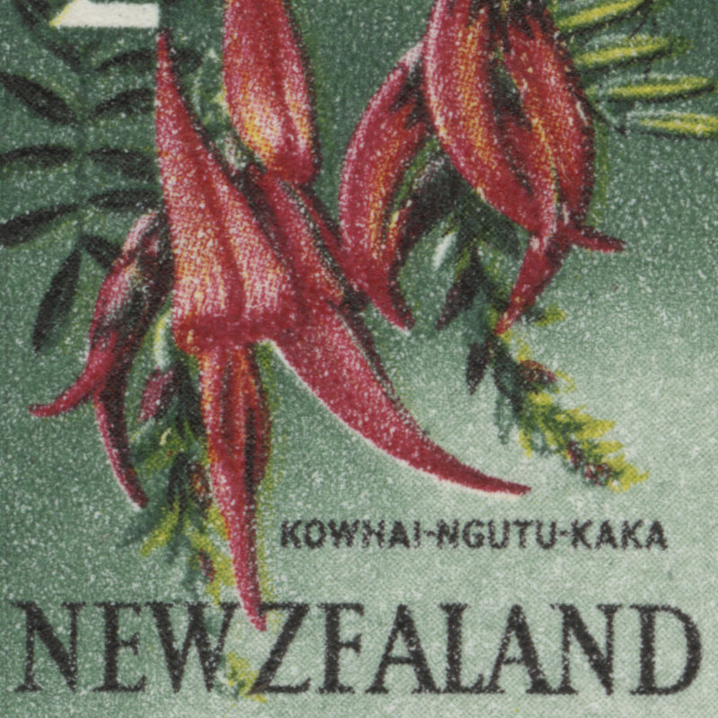 New Zealand 1960 (MNH) 2d Kaka Beak with 'NEW ZFALAND' flaw
