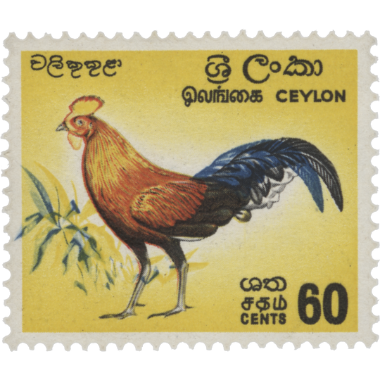 Ceylon 1966 (Variety) 60c Junglefowl with blue shift