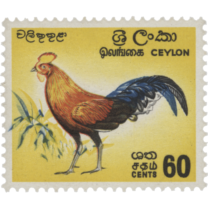 Ceylon 1966 (Variety) 60c Junglefowl with blue shift