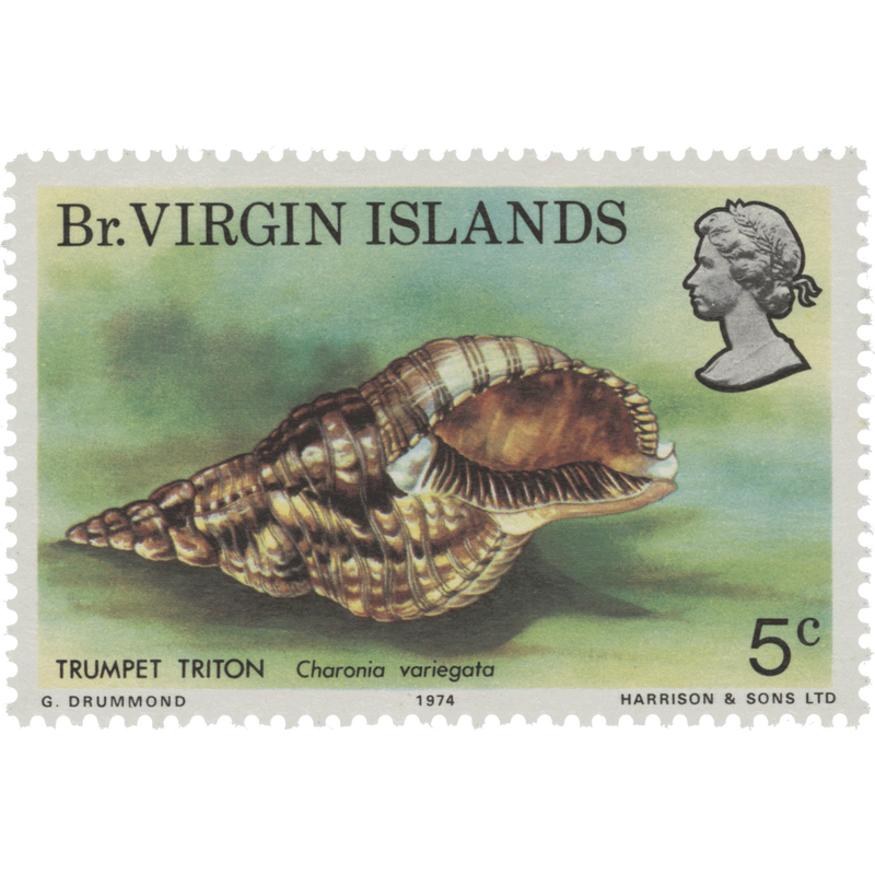 British Virgin Islands 1974 (Variety) 5c Trumpet Triton with inverted watermark