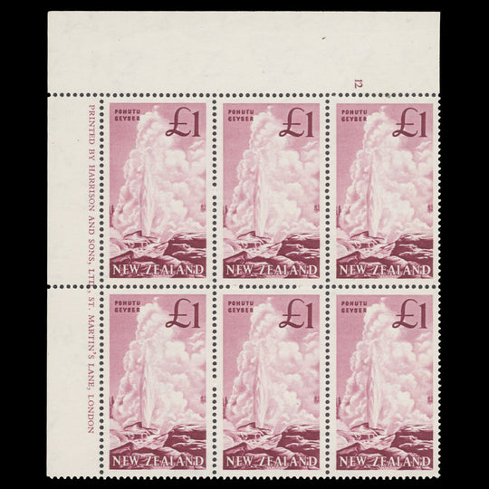 New Zealand 1960 (MNH) £1 Pohutu Geyser cylinder block