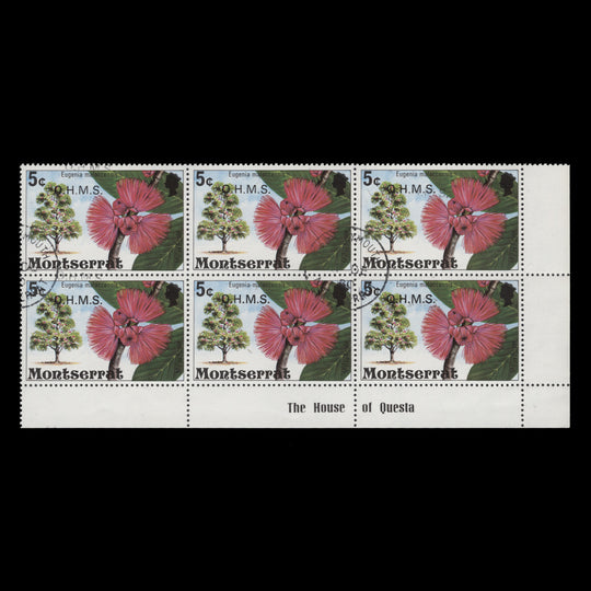 Montserrat 1980 (Variety) 5c Malay Apple official block with overprint double