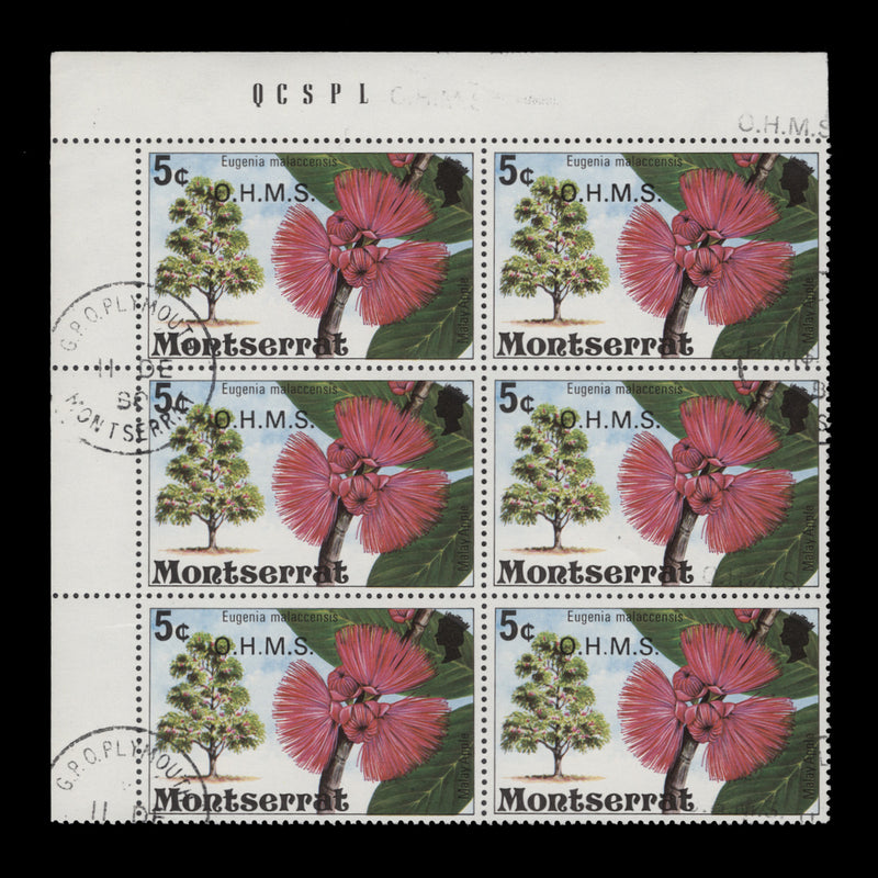 Montserrat 1980 (Variety) 5c Malay Apple official block with overprint double