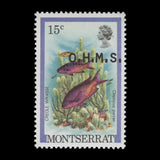 Montserrat 1981 (Variety) 15c Creole Wrasse official with overprint offset