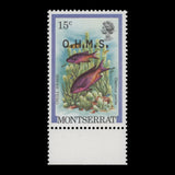 Montserrat 1981 (Variety) 15c Creole Wrasse official overprinted both sides