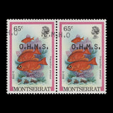 Montserrat 1981 (Variety) 65c Bigeye official pair with overprint double