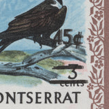 Montserrat 1976 (Variety) 45c/3c Magnificent Frigate Bird strip, double surcharge
